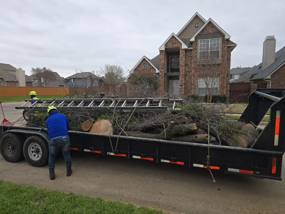 Expert Tree Fertilization with proper safety equipment in Caldwell